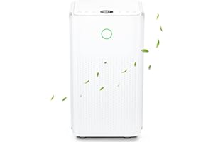 JERVAMNI Deshumidificateur d air Electrique - Absorbe Jusqu'à 12L/24H, Déshumidificateur Compresseur Silencieux avec Roulettes & Poignée, 3 Modes, Minuterie de 24H, Drainage Continu, Controle de l'humidité