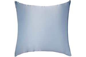 LULUSILK Kissenbezug, 100 % reine Seide, 16 Momme, mit verdecktem Reißverschluss, schont Haut und Haare, 1 Stück 80 x 80 cm hellblau