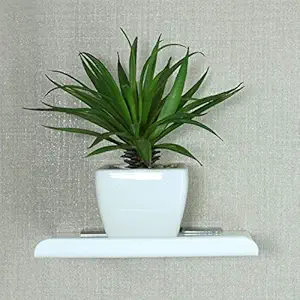 Ladila Acrylic Wall Mount Set Up Box and Pant Pot Stand, Self Stand for Wall D