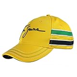 Unterstützt das Ayrton Senna Institut