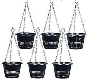Orchid Hanging Pot with Metal Chain (Pack of 6) - Tanusai Traders