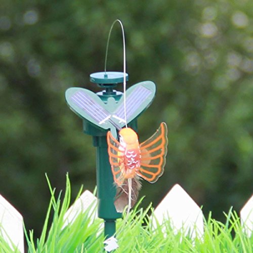 Schöne Solarbetriebene Fliegen flatternde Kolibri Fliegen Vögel DIY Garten Home Decoration Zufällige Stil - 3