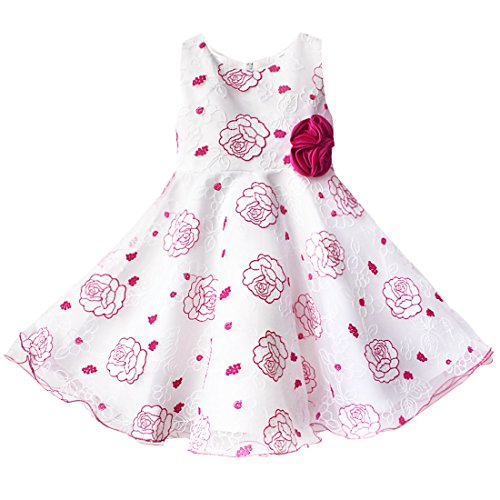 YiZYiF Baby Toddlers Girls Flower Party Formal Pageant Christening Dress Fuchsia 12-18 Months
