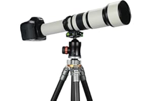 Téléobjectif EF/EF-S JINTU 650-1300mm F8 Zoom Objectif pour Canon EOS SLR 4000D 2000D 80D 90D 5D III 6D 7D II 60D 70D 250D 750D 760D 1200D 1300D 1500D 650D 550D 450D 400D Nikon D90 D5600 D780 D3200