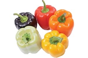 EYSII Graines de piments colorés 50+ graines de mélange d'arc-en-ciel de poivron doux piment bio non-OGM herbes vertes pour la maison jardin extérieur cour ferme plantation