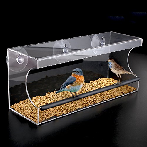 PEDY Großer Fenster Vogelfutterspender, Transparenter Saugfuß Durchsichtiger Vogelhaus Fenster Vogelfutterspender Großer Acryl Vogelfutterspender Vogelfutterstation - 2