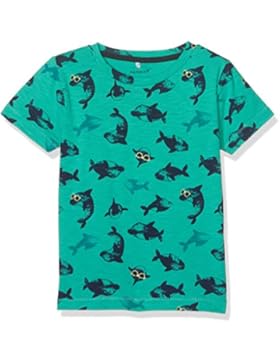 NAME IT Jungen T-Shirt Nitdaw Ss Top Mz