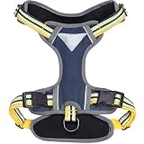 Blueberry Pet Soft & Comfy 3M Reflective Multi-colored Stripe Padded Dog Harness Vest, Chest Girth 45cm-54cm, Neck 37cm-52cm, Yellow & Green, Small, Mesh Harnesses for Dogs