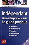 Indépendant, auto-entrepreneur, EIRL : Le guide pratique 2013