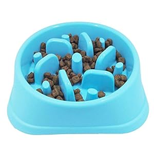 Txyk Lento Cuenco de Perro de Alimentación Comedero Antivoracidad para Perros de Comida para Mascotas – Slow Down Eating, Azul 20 CM