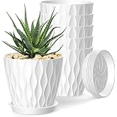 StyleX Store Plastic 6.2 inch Plant Pots with Drainage Holes and Tray Saucers | Flower Pots for Home Planters, Terrace, Balco