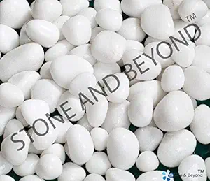 Stone & beyond Decorative Stone Pebbles (2 Kg, White, SPA004_2 Kg)
