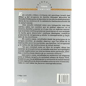 La Locura Y Las Instituciones (Terapia Familiar)