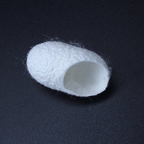 Edealing 100PCS New Organic Natural Whitening Seidenkokons Seidenraupe Balls Gesichtshaut - 4