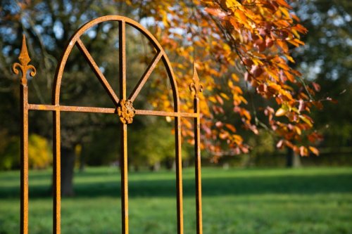 Steckzaun, Rankgitter, Höhe 215cm, Breite 90cm, Roheisen / Rost