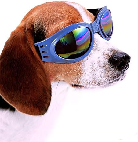 Lesypet Dog UV Protection Goggles Sunglasses waterproof Sun Glasses,Medium Blue