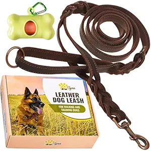 Leather Dog Leash 6 ft x 3/4