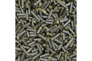 CATAPPA-LEAVES Walnut Leaf Sticks 50 g Pellets for Shrimp Crayfish Snails & Co Feed Sticks