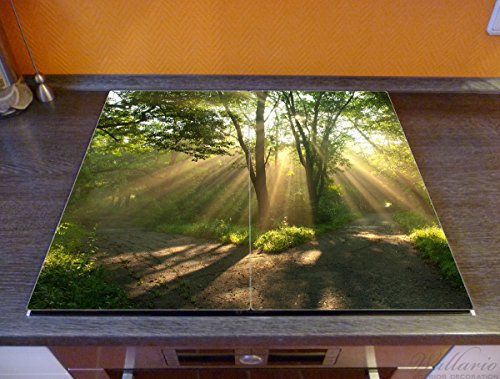 Wallario Herdabdeckplatte / Spritzschutz aus Glas, 2-teilig, 60x52cm, für Ceran- und Induktionsherde, Weggabelung im Sonnenschein - 2