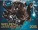 Welpen unter Wasser 2015 by 