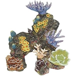 Haquoss Reef Dream 14, 18.5x 14.5x 17H cm