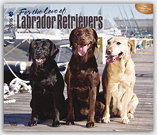 Labrador Retriever 2016 - For the Love of - 18-Monatskalender mit freier DogDays-App: Original BrownTrout-Kalender - Deluxe [Mehrsprachig] [Kalender] (Deluxe-Kalender)