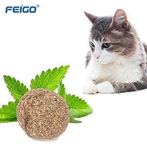 Juguetes con hierba gatera FEIGO Juguetes Menta Bola Naturales Matatabi Catnip Juguetes Hierba Pelota Mascotas Gatito Cuidado Limpieza Dientes