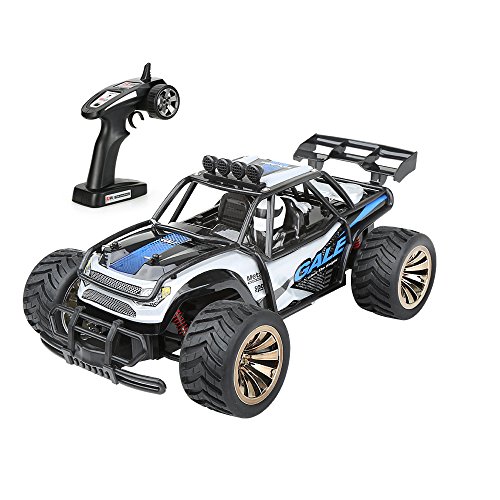 Preisvergleich Produktbild Distianert RC Auto elektronisch ferngesteuertes Auto funkferngesteuerter Geländewagen startbereit Buggy Monster Truck 1:16 2WD 2.4Ghz Hochgeschwindigkeit mit aufladbaren 2 Batterien