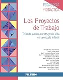  Los Proyectos de Trabajo: Tejiendo sueños, construyendo vida en la Escuela Infantil (Psicología)