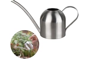 HGGZEG Arrosoir en acier inoxydable, petit pot d'arrosage à long goulot pour maison, intérieur, extérieur, jardin, plantes succulentes, 500 ml (argenté)