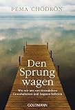 Image de Den Sprung wagen: Wie wir uns von destruktiven Gewohnheiten und Ängsten befreien