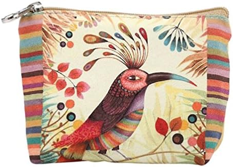 Fixuk Women's Lady Small Canvas Purse Zip Wallet Coin Key Holder Case Bag Handbag (Colorfulbird)