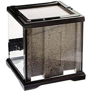 Exo Terra - Micro terrario in vetro con ambientazione per rettili, dimensioni 20 x 20 x 20 cm - immagine 3