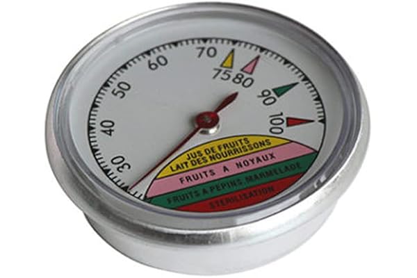 GUILLOUARD - 12661 - Thermometre pour sterilisateur 100øc 1 - Pack