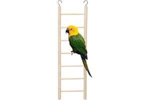 GNCPets Échelle droite pour cage à oiseaux - Jouet en bois de 30 x 10 cm avec 7 marches - Avec crochets pour cage - Stimule et divertit votre animal de compagnie