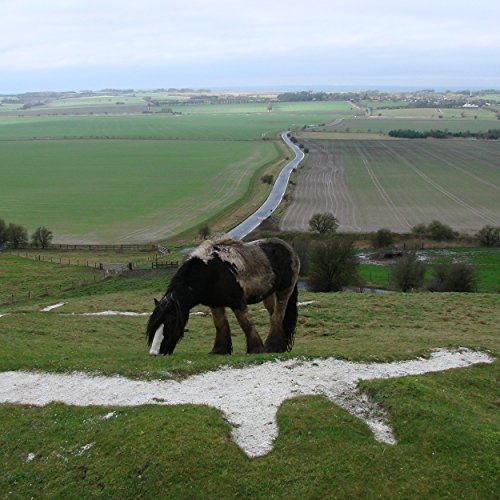 Preisvergleich Produktbild Clapper Is Still [Vinyl LP]