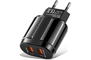 Davilis® Caricatore USB da Parete Muro 2.4A 5V Veloce Caricabatterie Alimentatore Presa USB 2 Porte, Spina per Smartphone Tablet iOS Android (Nero)