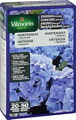 Vilmorin 6429899 Engrais Solubles Hortensias + Bleuissant Etui de 800 g 4 LG