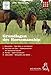 Produktbild Weinzierl Horsemanship - Grundlagen des Horsemanship von Uwe Weinzierl - 4er DVD Box