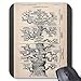 Produktbild Tree Of Life/Pedigree Of Man Mouse Pad