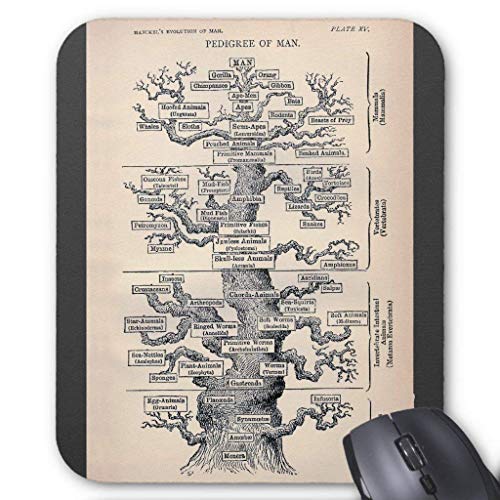 Preisvergleich Produktbild Tree Of Life / Pedigree Of Man Mouse Pad