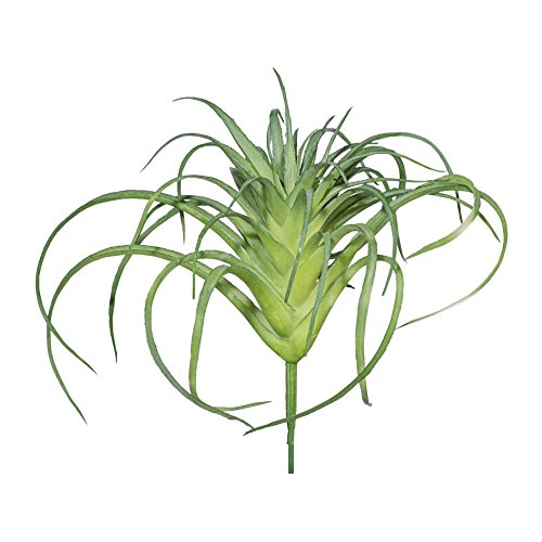 Kunstpflanze Mini- TILLANDSIE, Tillandsien, Tilansie, Tillancie 12cm