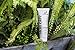 ArtNaturals Clarifying Acne Face Wash - 236 ml - Deep Cleansing and Exfoliation of Blackheads and Pimples - Infused with Cucumber and Aloe for Added Hydration