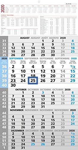 5-Monatskalender 2020 - Wandkalender - Bürokalender (33 x 63 geöffnet) - mit Datumsschieber - inkl. Jahresübersicht