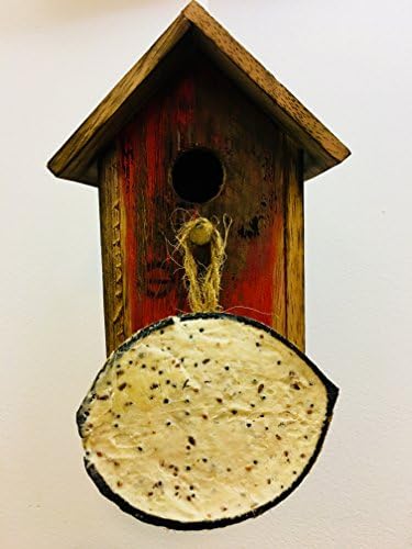 Garden BirdWatch House, recycled wood and hanging coconut suet bird food ( various colours)