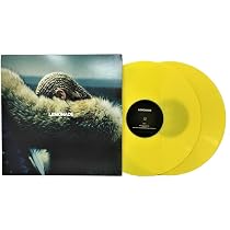 Homecoming: The Live Album: Grammy Winning Artist, Beyoncé: Amazon