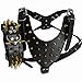 Produktbild Dogs Kingdom Cool Gold Spikes Nieten leder Hundegeschirr und Sharp Gold Spikes Nieten Halsbänder Set für mittlere Großer Hund Pitbull Boxer Bulldog