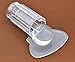SelfTek 2.8cm Nail Art Transparent Stamping DIY Image Plate Manicure Print Tool With Scraper (Clear)