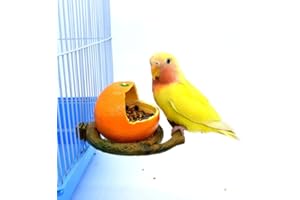 Embhlitfe Bird Feeding Dish Cups,Birds Water Bowl Bird Cage Feeder Hanging Seed Food Container,Birds Feeder Cage Accessories for Parrot Budgie Cockatiel Parakeet Cockatoo Small Animal (Orange)
