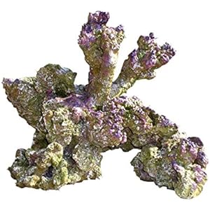 Haquoss Rock Viva Kunstharz 3, 29x 19x 23H cm